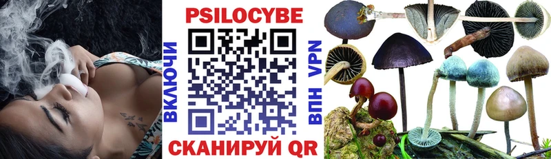 hydra зеркало  Гуково  Псилоцибиновые грибы Cubensis  где продают  